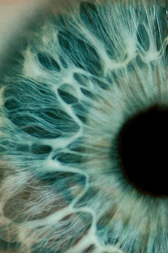 Detail of an eye